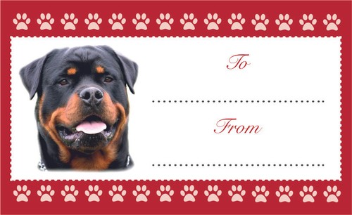 Rottweiler dog christmas - rottweiler,