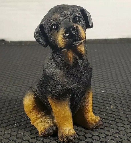 Animal rottweiler puppy - rottweiler,