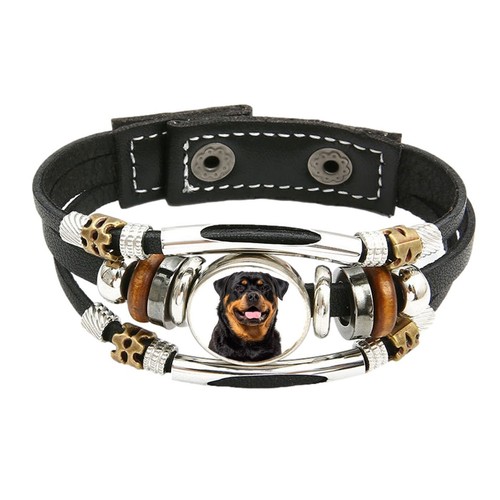 Rottweiler dog pet family - pet,