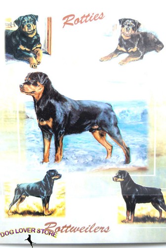 Carta regalo rottweiler - carta,