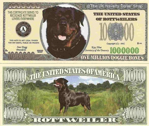 Rottweiler dog one million - rottweiler,