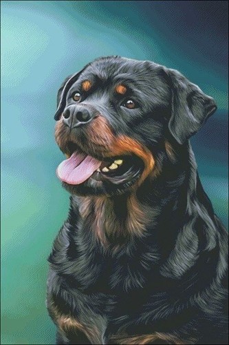 Rottweiler dog idea - -,